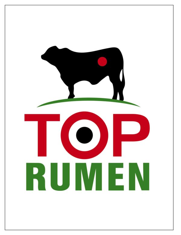 TOP RUMEN REPRODUCCIÓN