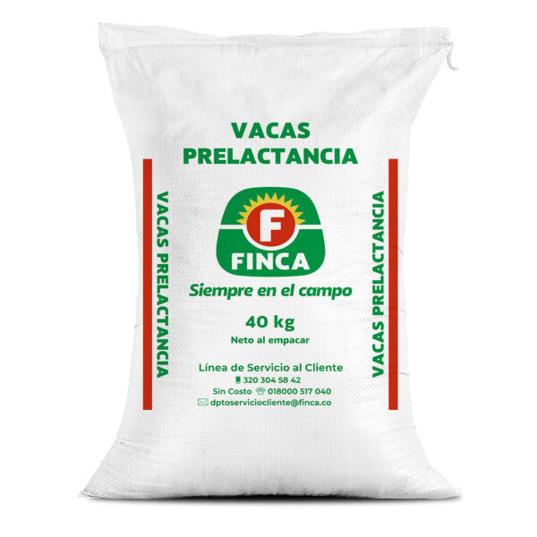 VACAS PRELACTANCIA