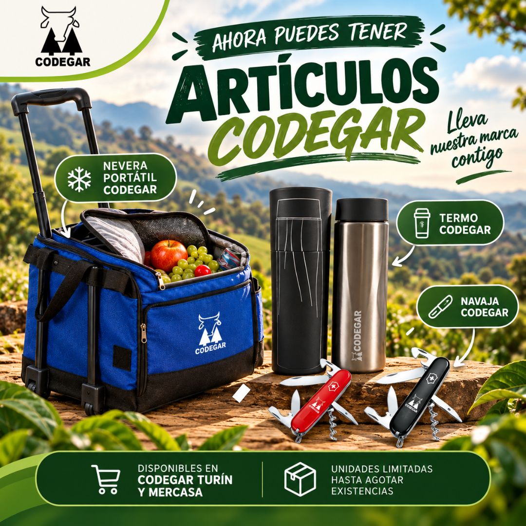 Artículos Codegar